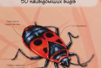 Переробити унікальний текст про книгу