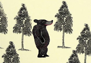 «Ведмідь, якого не було» Орен Лаві