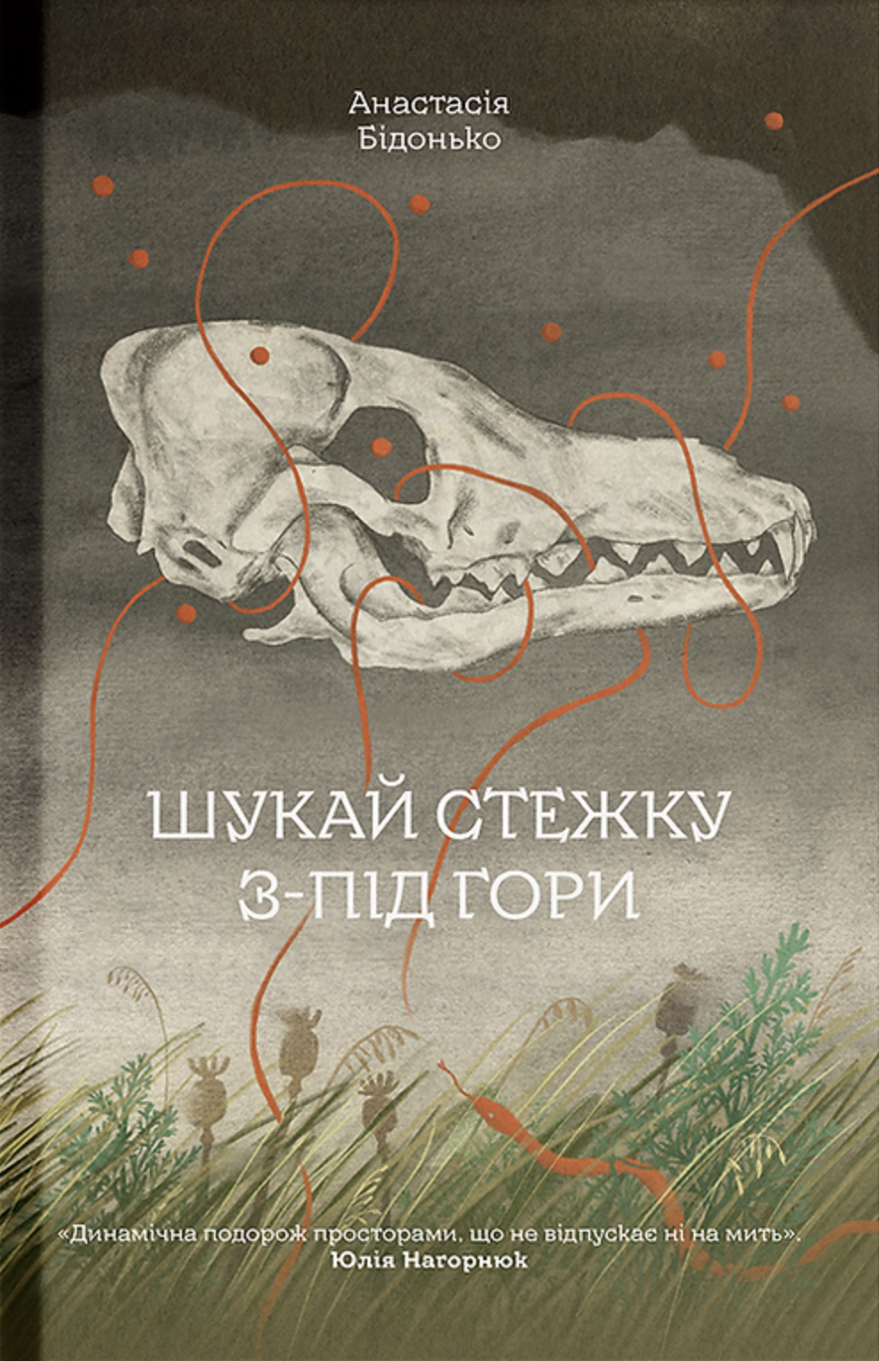 «Шукай стежку з-під гори» Анастасія Бідонько «Шукай стежку з-під гори» Анастасія Бідонько